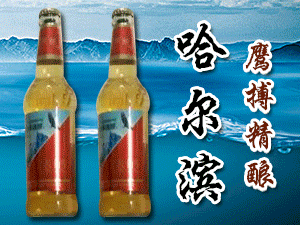 哈尔滨鹏搏啤酒有限公司